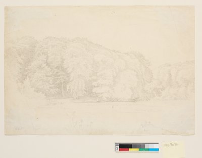 Skovsø med stora bokträd i bakgrunden. av P.C. Skovgaard