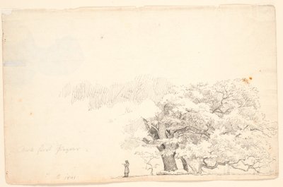 Stora ekar, t.v. en läsande man. av P.C. Skovgaard