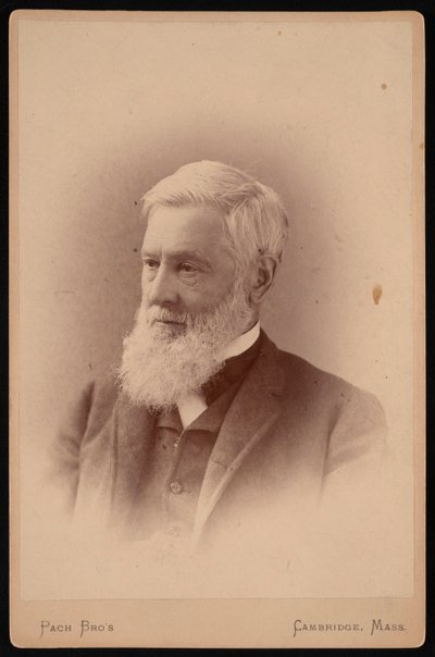 Porträtt av Asa Gray 1810-1888, mars 1887. av Pach Bros