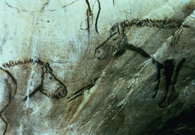 Hästar, hällmålningar i det svarta rummet, Magdalenian (grottmålning) av Paleolithic Paleolithic