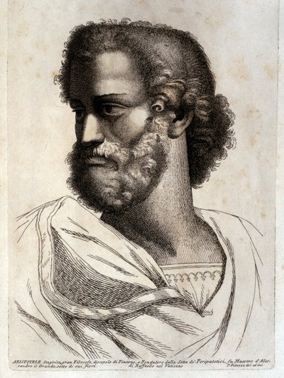 ARISTOTLE av Paolo Fidanza