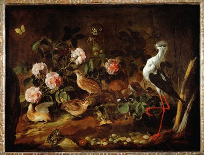 Stilleben med uggla och ibis - Nature morte avec une chouette et un ibis ... av Paolo Porpora