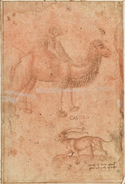 Ein Kamel mit einem reitenden Kind. Darunter ein fabelhaftes Tier (Castoro) av Paolo Uccello