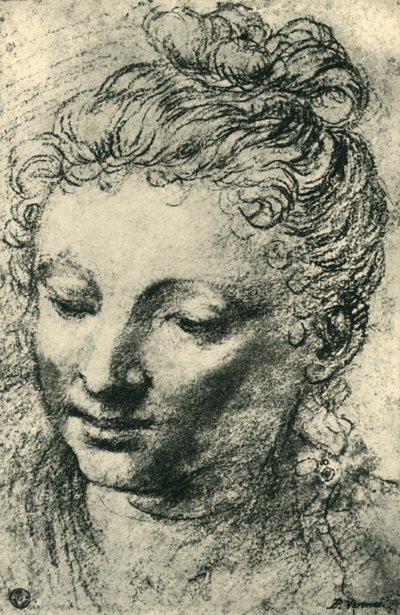 Huvudet på en kvinna som tittar ner, mitten av 1500-talet, 1943. av Paolo Veronese