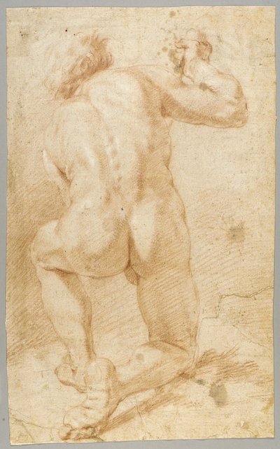 Ritning av Paolo de Matteis