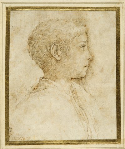 Byst av en pojke i profil till höger (penna & brunt bläck på vitt papper) av Parmigianino