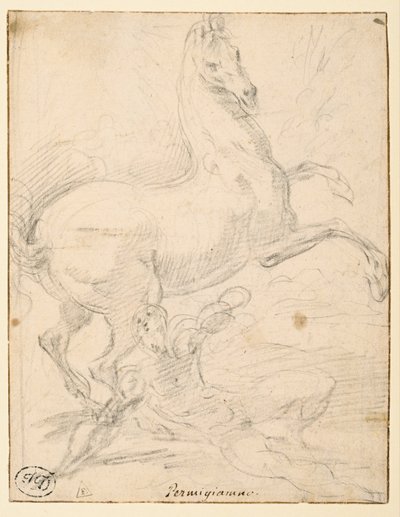 Omvändelse av Saint Paul (recto) av Parmigianino