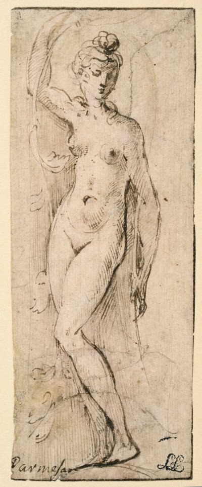Kvinnlig figur - studie för Santa Maria della Steccata, Parma (recto) av Parmigianino