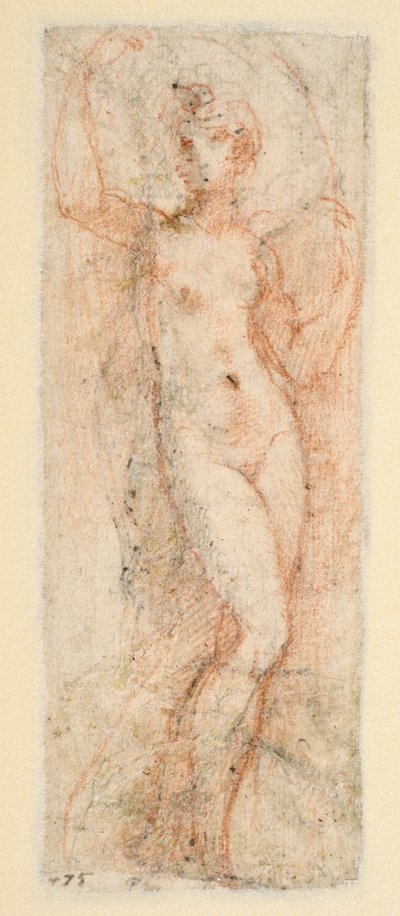 Kvinnlig figur - studie för Steccata (verso) av Parmigianino