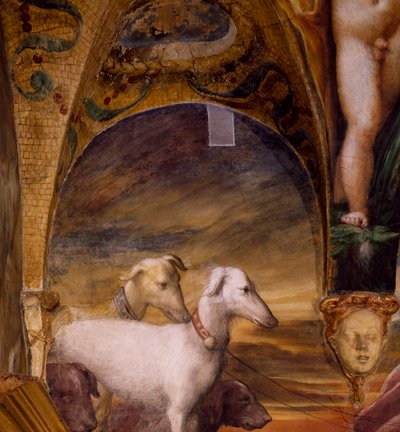 Grupp av hundar, från Myth of Diana and Actaeon av Parmigianino