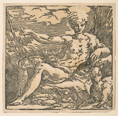 Johannes Döparen i öknen av Parmigianino
