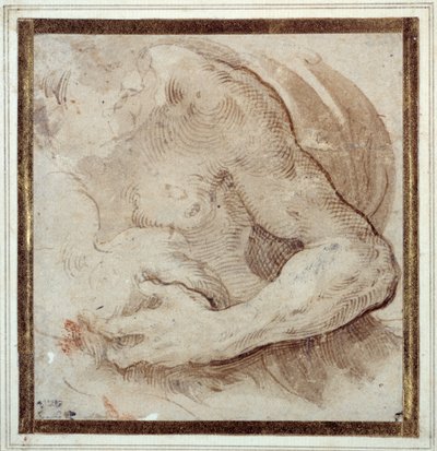 Studie av vänster arm, bröst och huvud på en skäggig man (penna & brunt bläck med röd krita på krämpapper) av Parmigianino