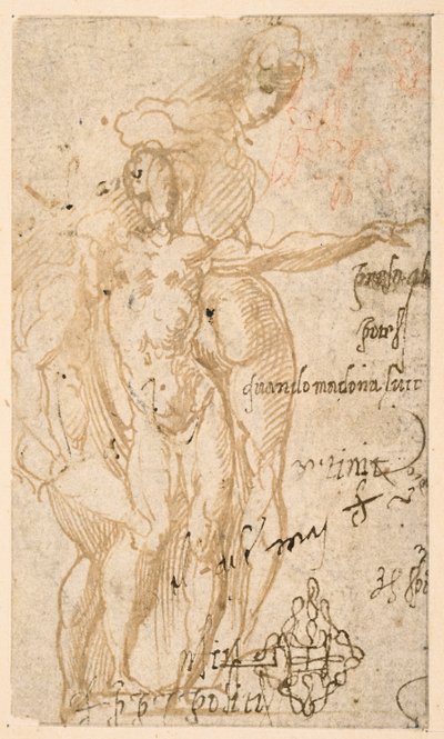 Studie av tre nakna figurer (recto) av Parmigianino