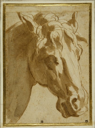Huvudet och halsen på en häst (penna & brunt bläck med tvätt på krämpapper) av Parmigianino