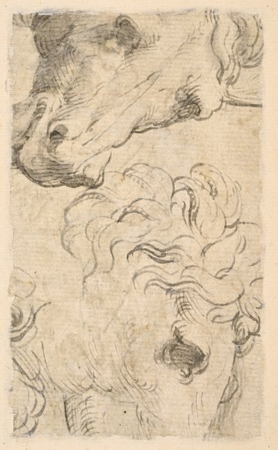 Två studier av hästhuvuden (fragment) (verso) av Parmigianino