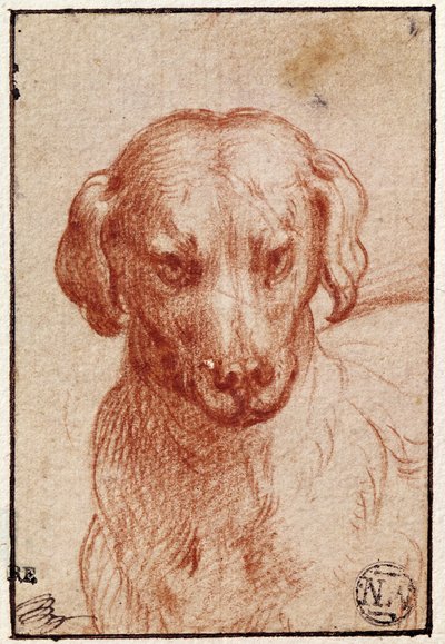 Head of a Dog (röd krita på papper) av Parmigianino