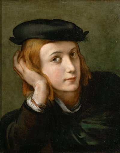 Porträtt av en pojke, ca 1524. av Parmigianino