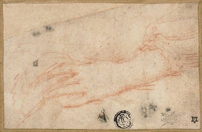 Skiss av vänster hand och handled av Parmigianino