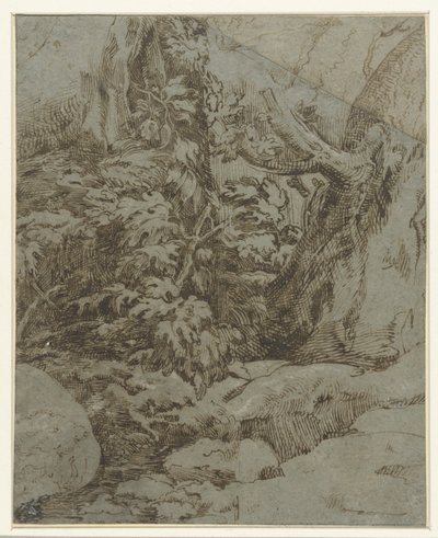 Studie av ett landskap av Parmigianino