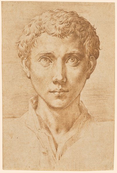 Huvudet av en ung man av Parmigianino