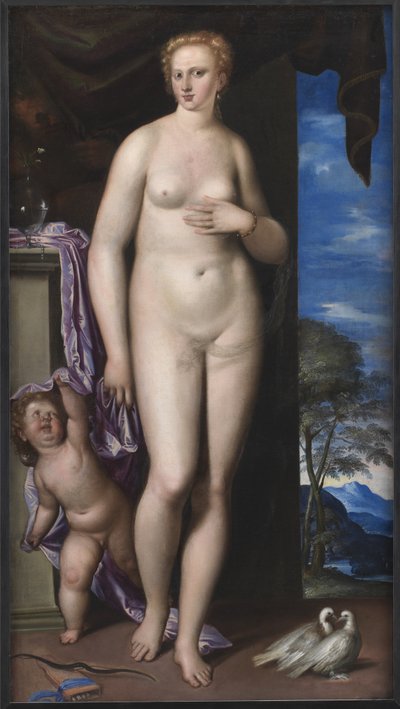 Venus och Amor av Parrasio Micheli