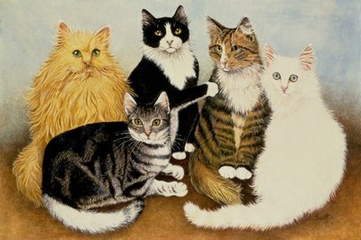 Kattens vagga av Pat Scott