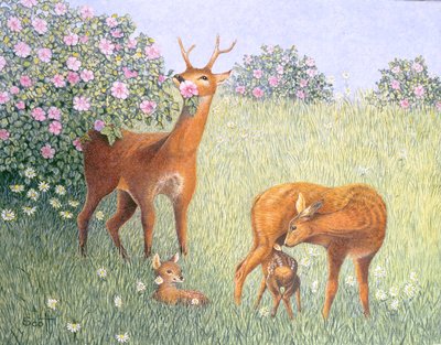 Hjortfamilj (olja på duk) av Pat Scott