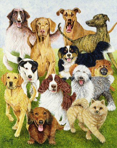 Dog Days (olja på duk) av Pat Scott