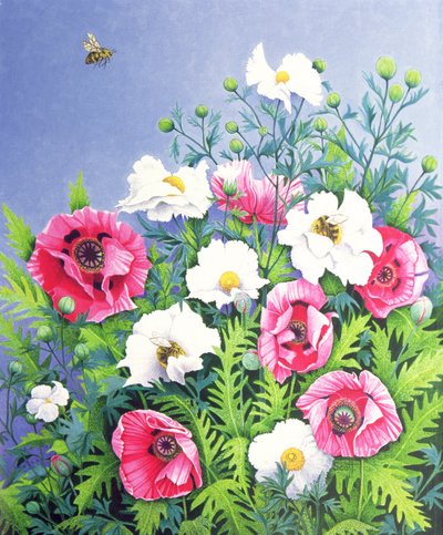 Honey Bee, Honey Bee (olja på duk) av Pat Scott