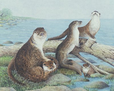 Playtime (akryl på calico) av Pat Scott