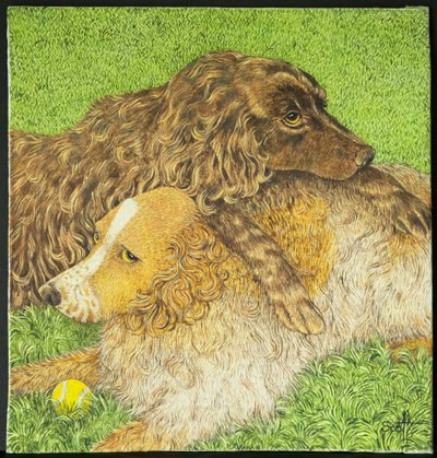 Besittning av Pat Scott