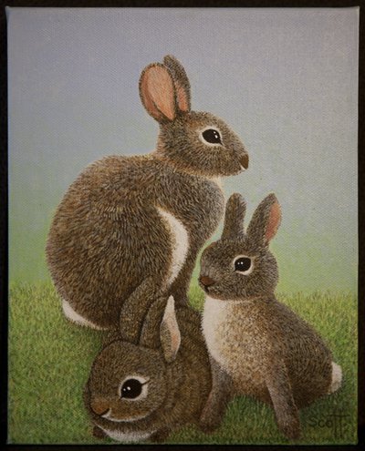 Familjen Rabbit, 2016 av Pat Scott