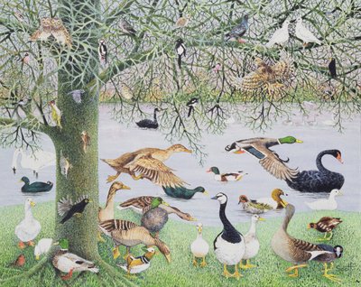 The Odd Duck (akryl på duk) av Pat Scott