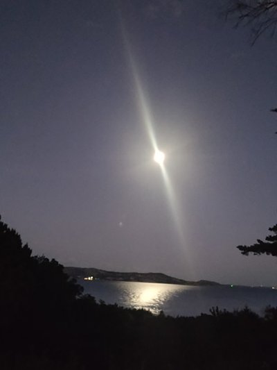 Sky, 2021 (Bild) av Patrizia La Porta