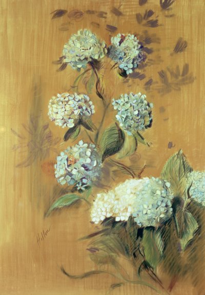 Hortensior (pastell på papper) av Paul Cesar Helleu