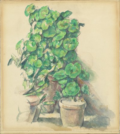 Pelargoner av Paul Cézanne