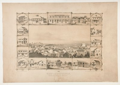 Utsikt över Honolulu, från den katolska kyrkan (nr 3) av Paul Emmert