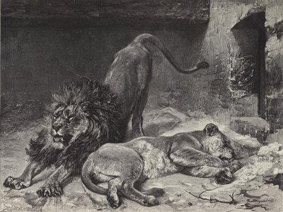 Lejonets uppvaknande av Paul Friedrich Meyerheim