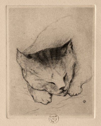 Sex etsningar: Head of a Kitten, 1895. av Paul Gachet