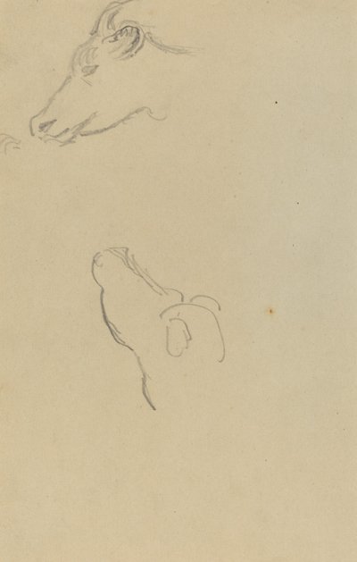 Chef för en ko [recto] av Paul Gauguin
