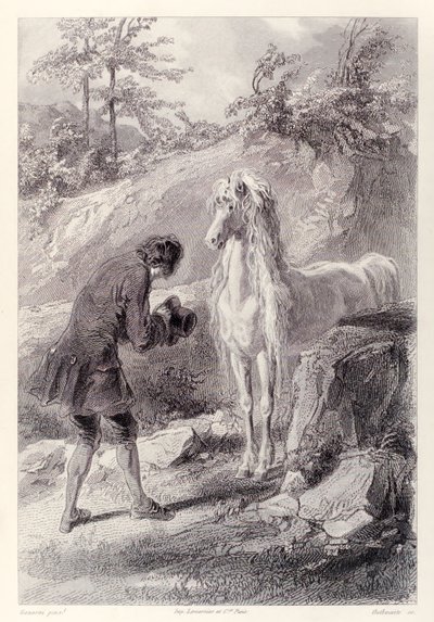 Hästen stannade och stirrade på mig, från French Edition av Gullivers Travels av Jonathan Swift av Paul Gavarni