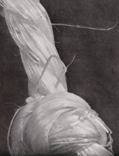 Knuten bit av snöret (svartvitt foto) av Paul Henning