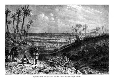 Landskap på ön Kuba, 1859 av Paul Huet