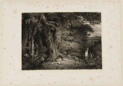 Skogsbrynet. Beraldi 74 av Paul Huet