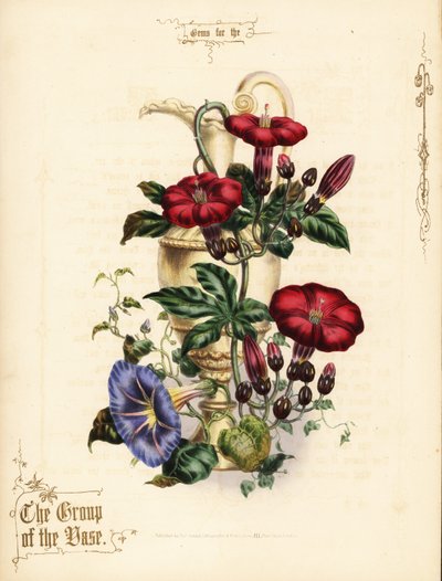 Bukett av scharlakansröd ipomoea och blå morning glory med vas. av Paul Jerrard