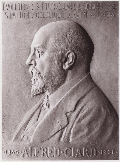 Alfred Giard (1846-1908), zoolog, porträtt (litho) av Paul Marie Louis Pierre Richer