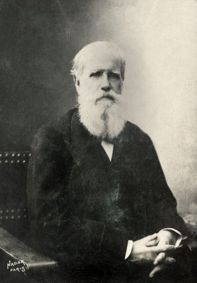 Porträtt av Dom Pedro , kejsare av Brasilien (foto) av Paul Nadar