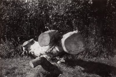 Hitta objekt av Paul Nash