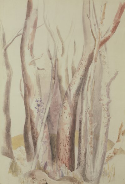Studie av ett skogslandskap av Paul Nash