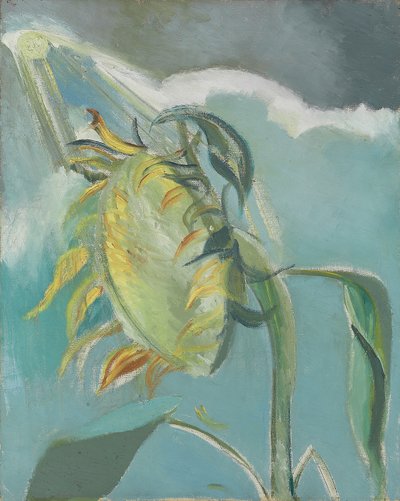 Solros och sol, ca. 1945 (olja på duk) av Paul Nash